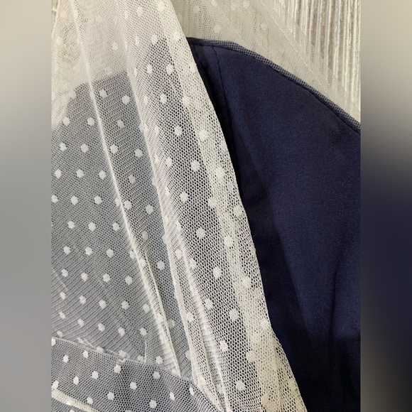 Polka Dot Tulle Lace Navy Blue Lined Dress Jim Hjelm Occasions Size 10 - Picture 9 of 12
